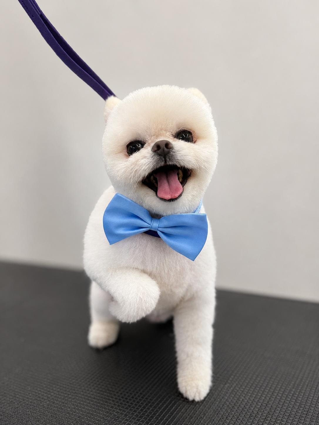 Grooming result